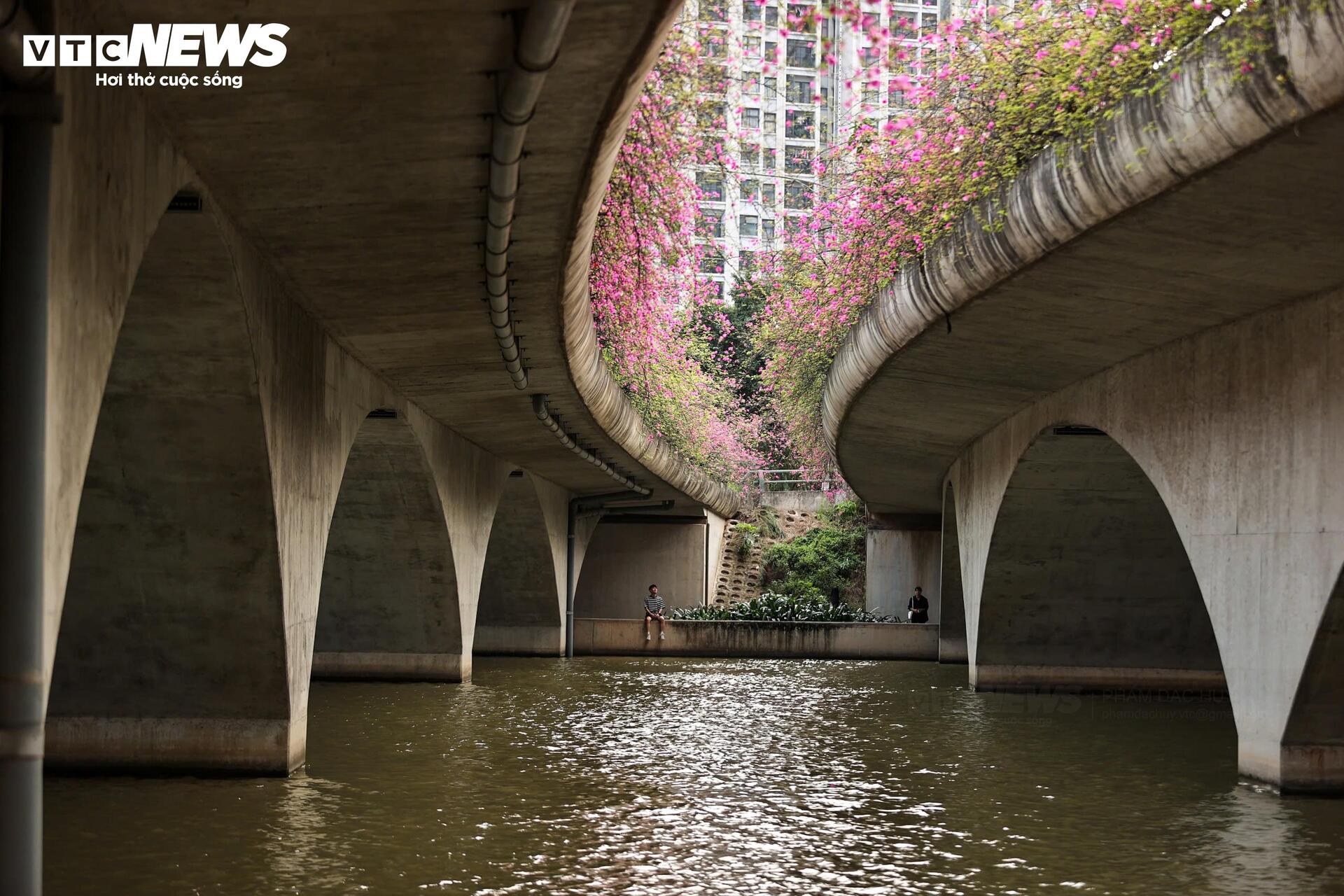 Hoa giấy phủ kín cầu Thủy Tiên, khung cảnh như 'xứ sở thần tiên' - Ảnh 15
