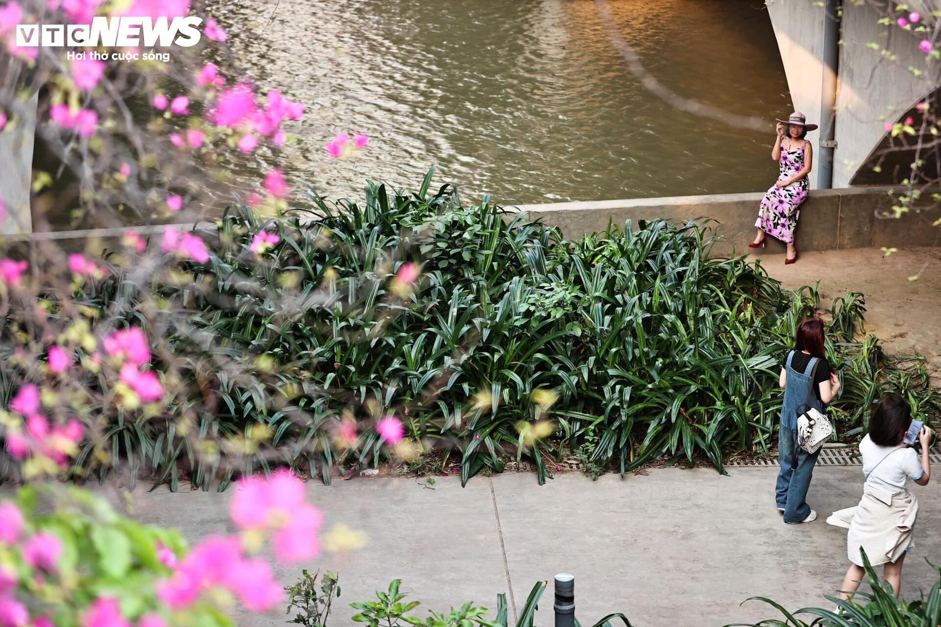 Hoa giấy phủ kín cầu Thủy Tiên, khung cảnh như 'xứ sở thần tiên' - Ảnh 10