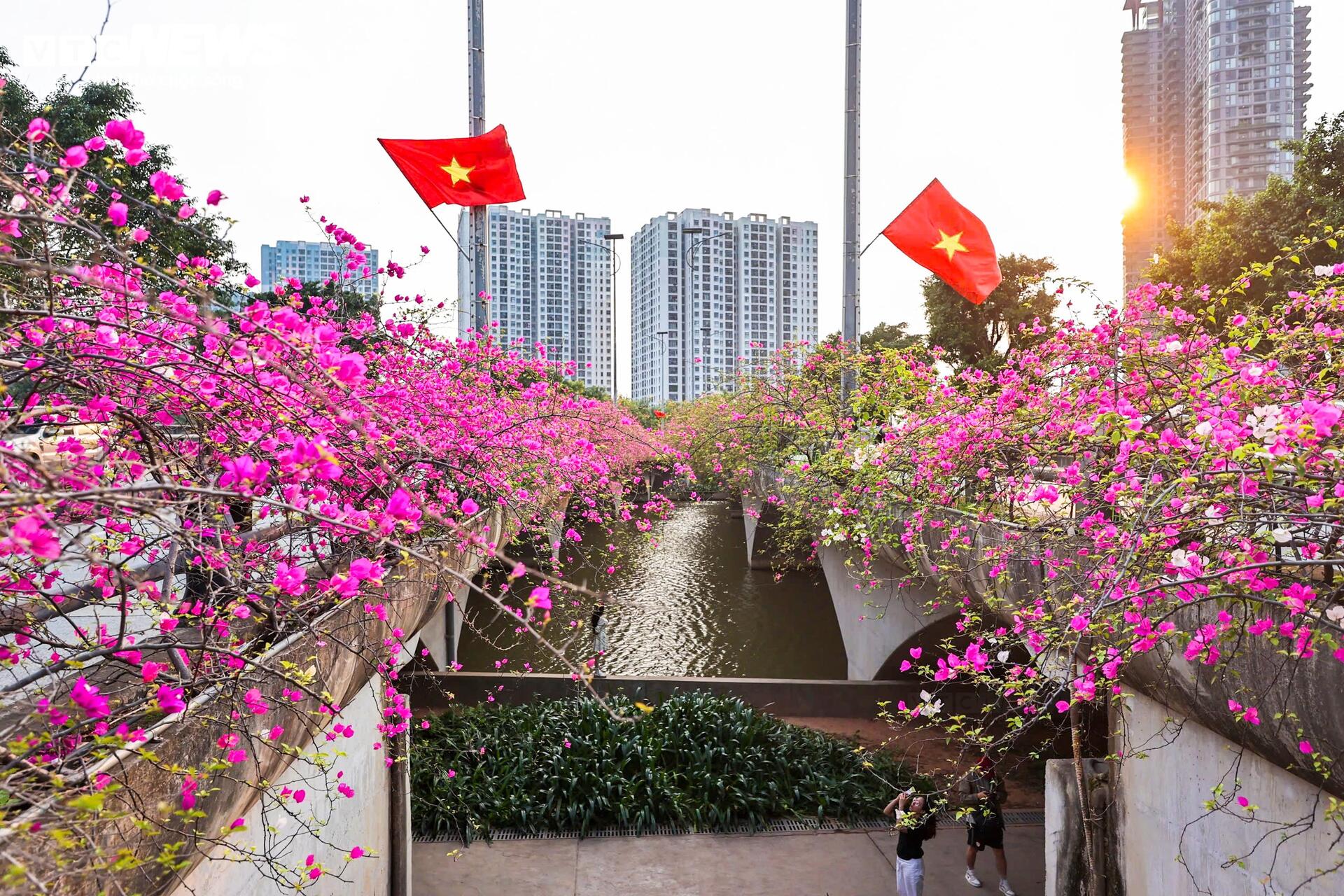 Hoa giấy phủ kín cầu Thủy Tiên, khung cảnh như 'xứ sở thần tiên' - Ảnh 1