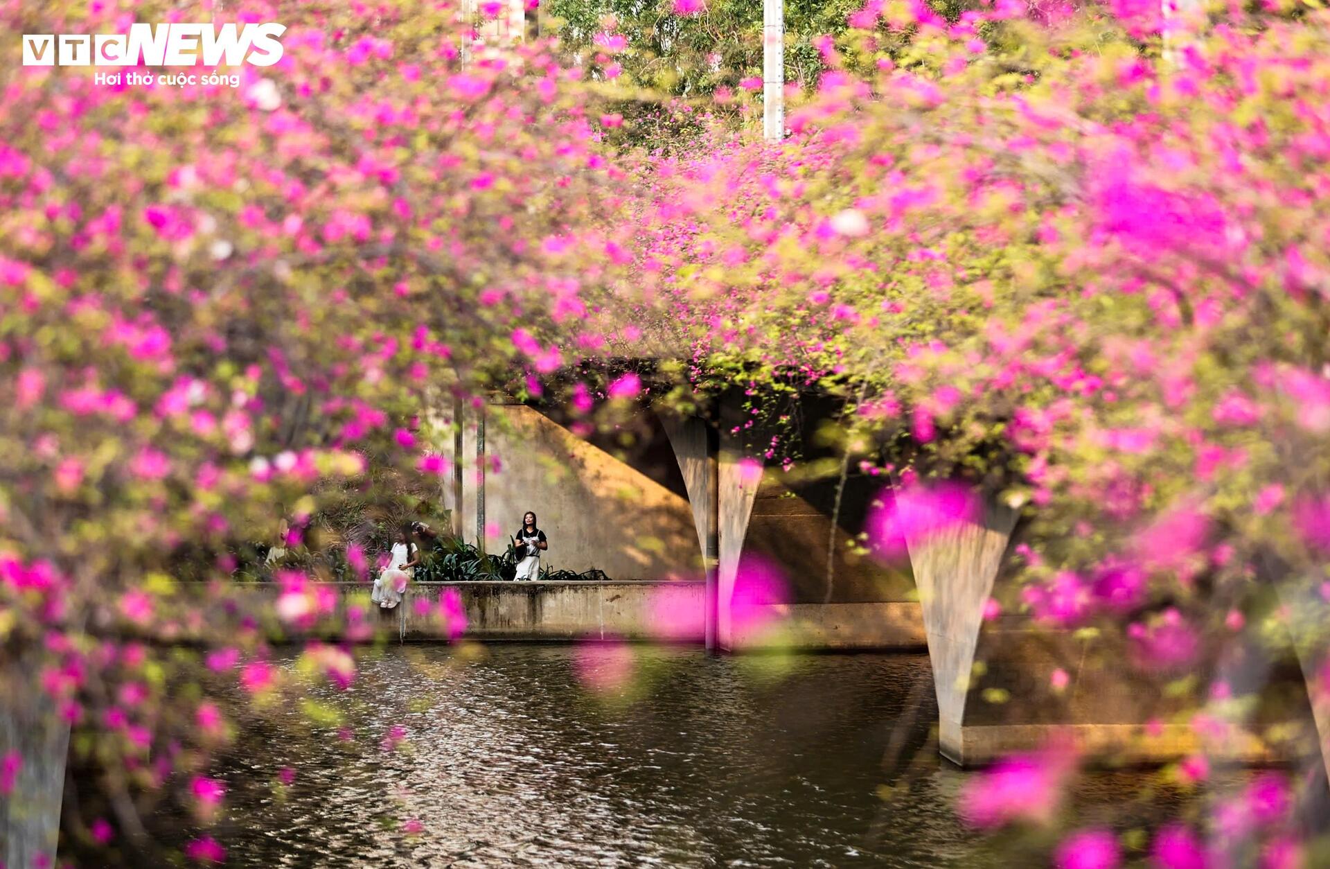 Hoa giấy phủ kín cầu Thủy Tiên, khung cảnh như 'xứ sở thần tiên' - Ảnh 6