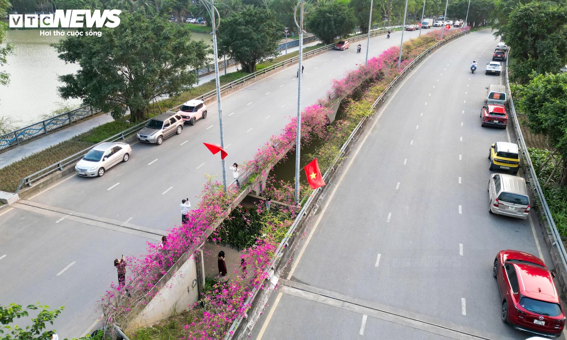 Hoa giấy phủ kín cầu Thủy Tiên, khung cảnh như 'xứ sở thần tiên' - Ảnh 3