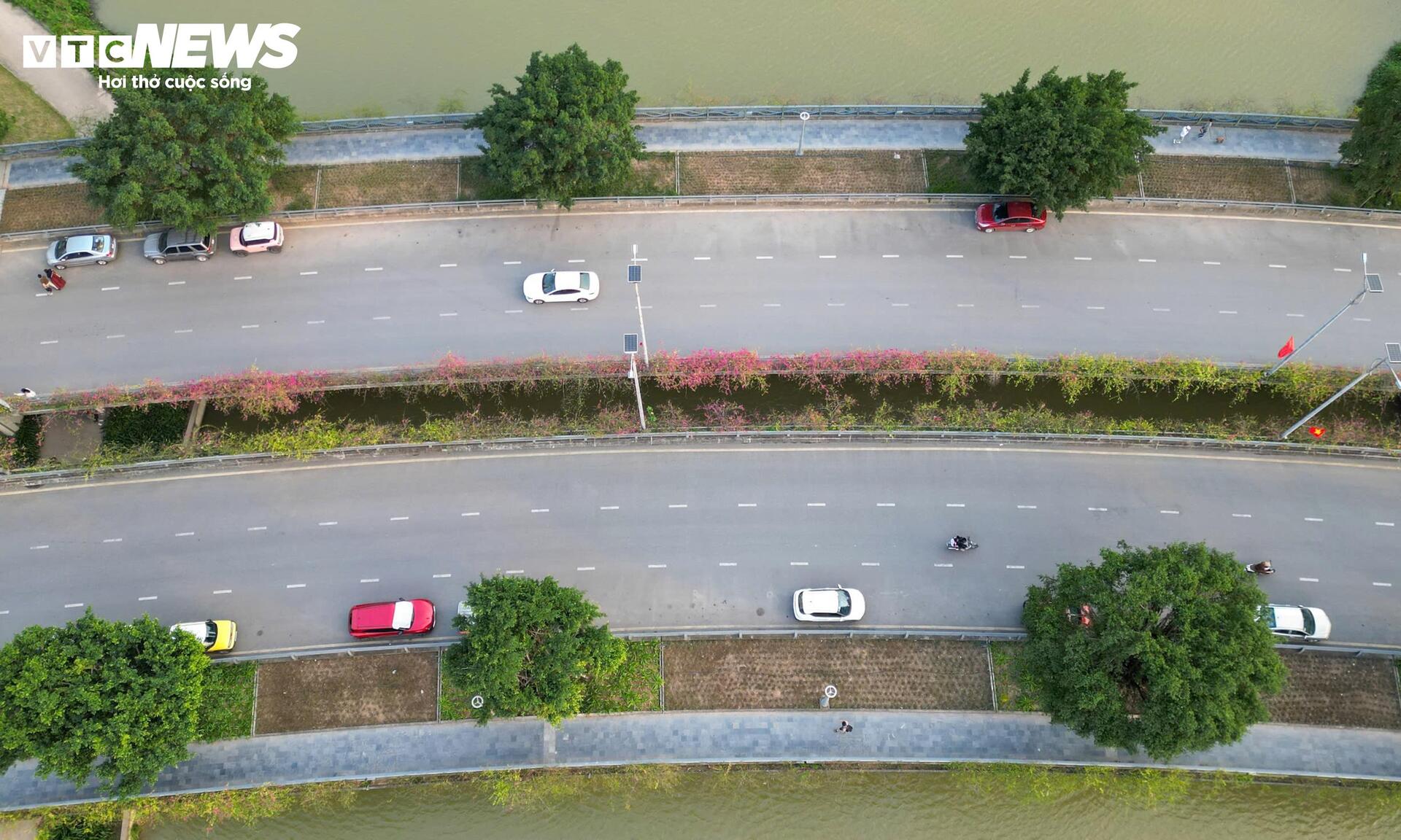 Hoa giấy phủ kín cầu Thủy Tiên, khung cảnh như 'xứ sở thần tiên' - Ảnh 4