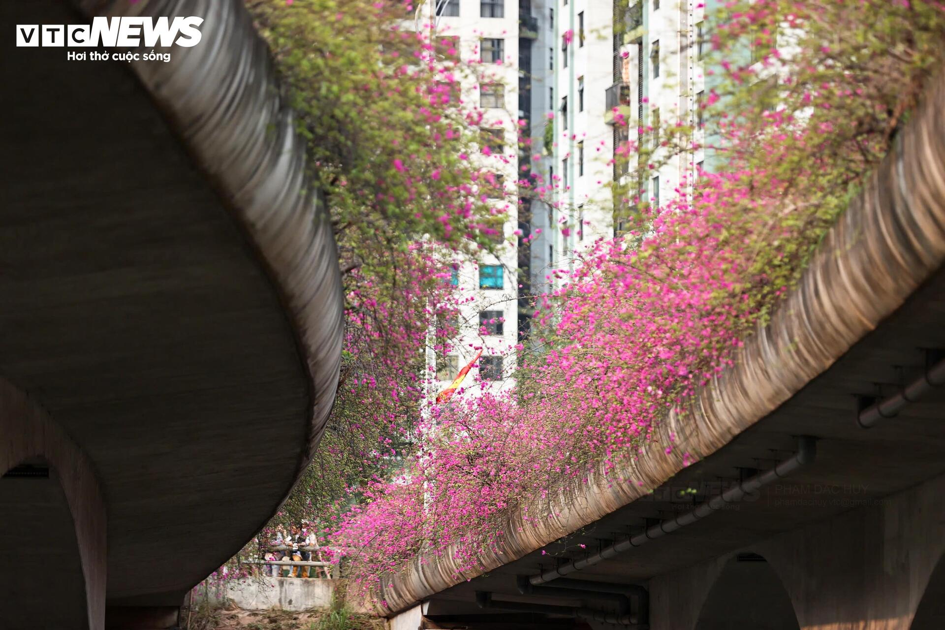 Hoa giấy phủ kín cầu Thủy Tiên, khung cảnh như 'xứ sở thần tiên' - Ảnh 5