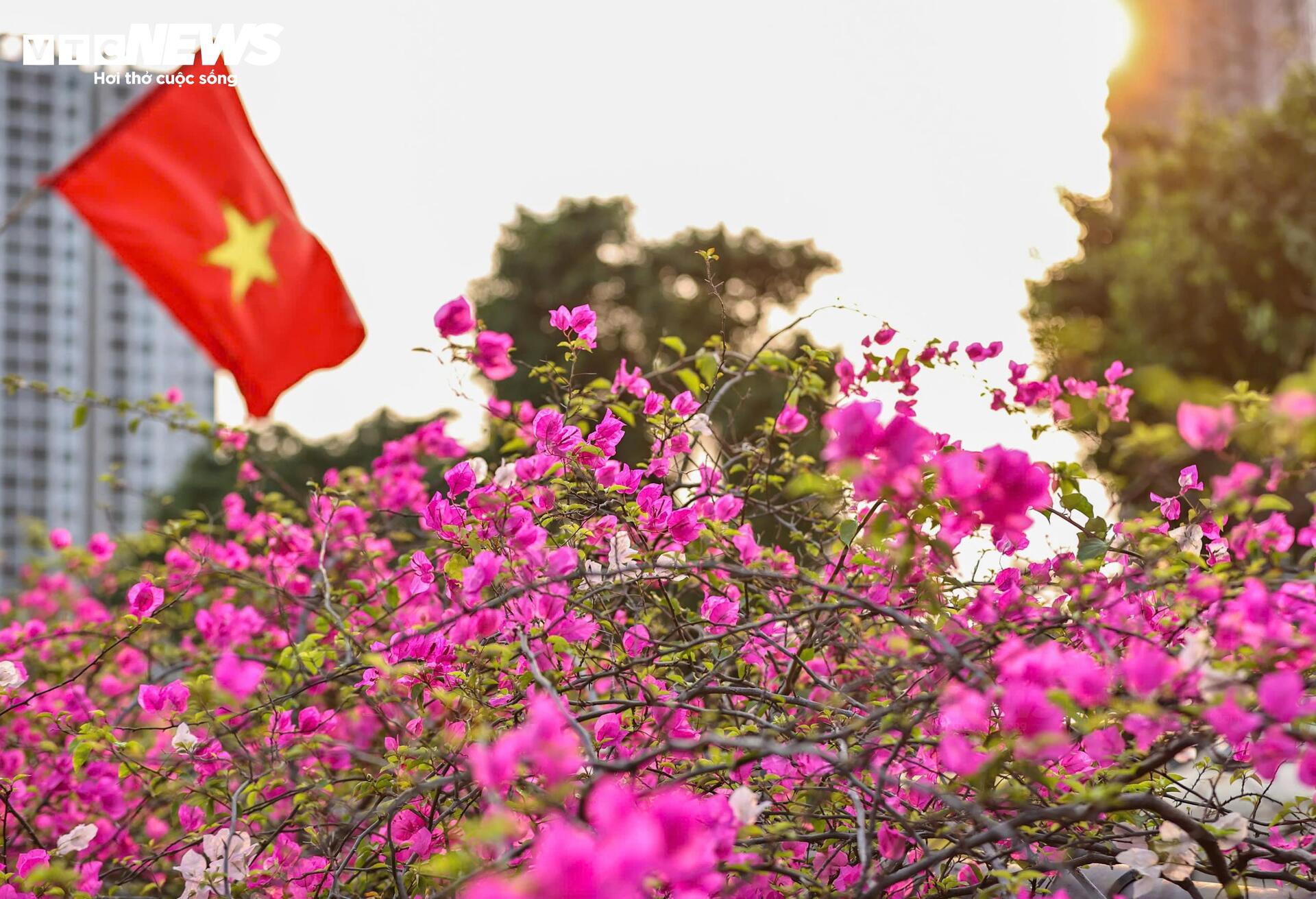 Hoa giấy phủ kín cầu Thủy Tiên, khung cảnh như 'xứ sở thần tiên' - Ảnh 7