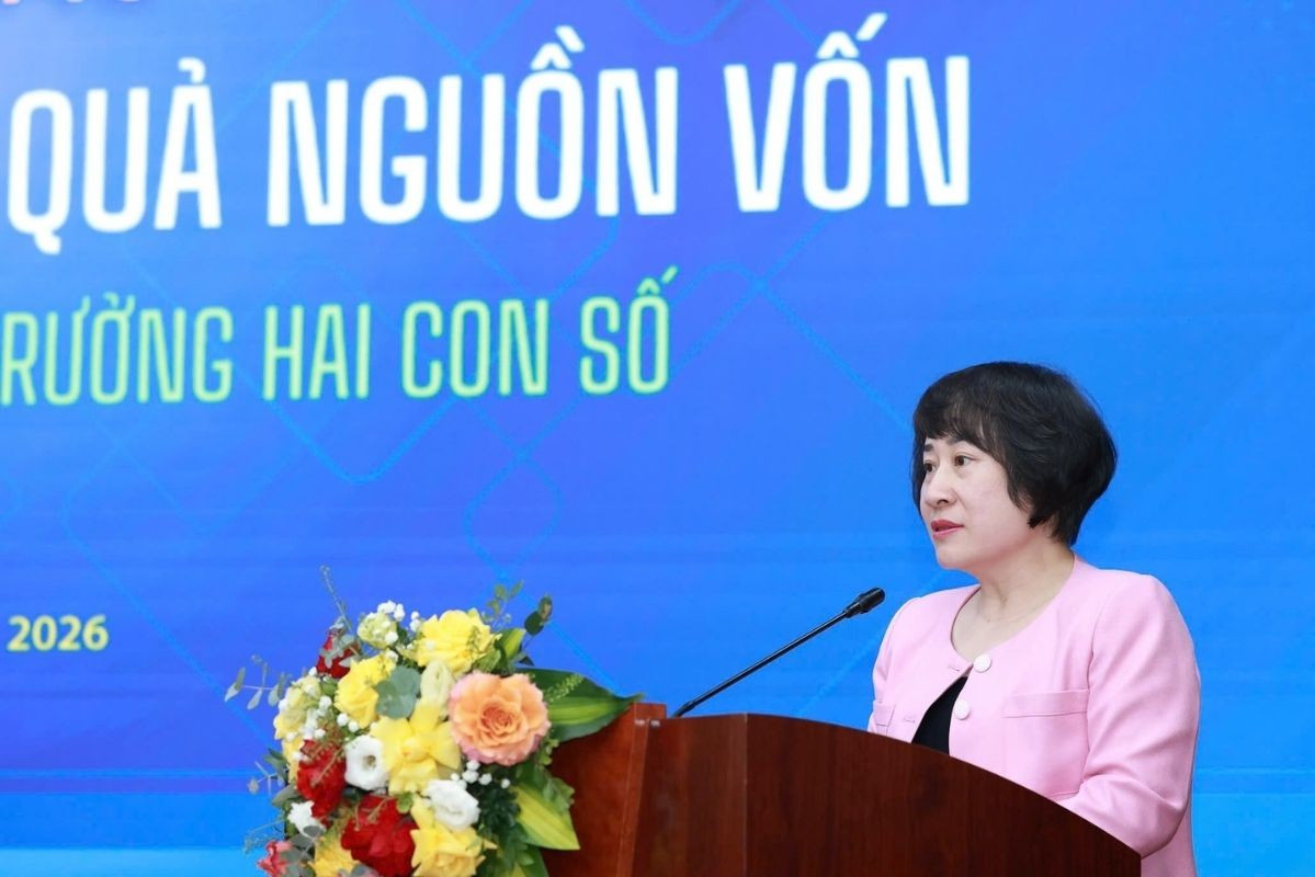 Việt Nam không hẳn thiếu vốn, vậy thiếu gì? - Ảnh 2