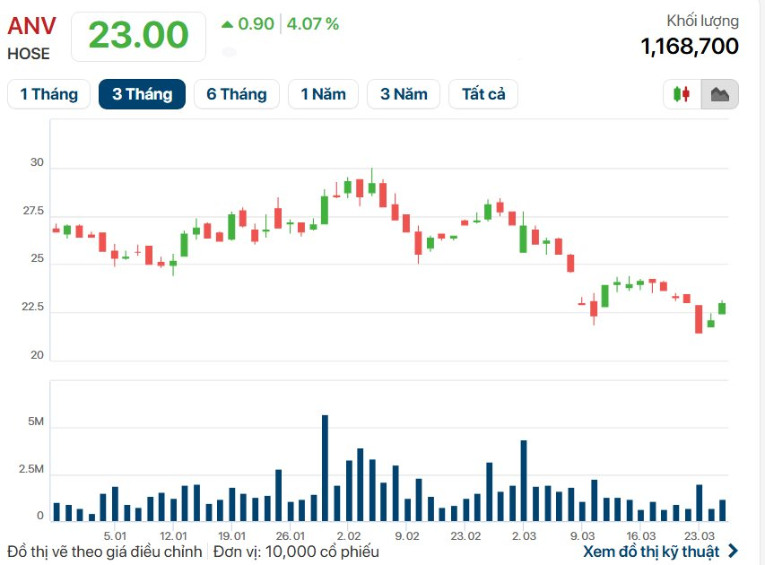Vừa mua xong 1 triệu cổ phiếu, 'Thiếu gia' nhà vua cá rô phi Việt lại muốn gom thêm 1 triệu đơn vị ANV - Ảnh 2