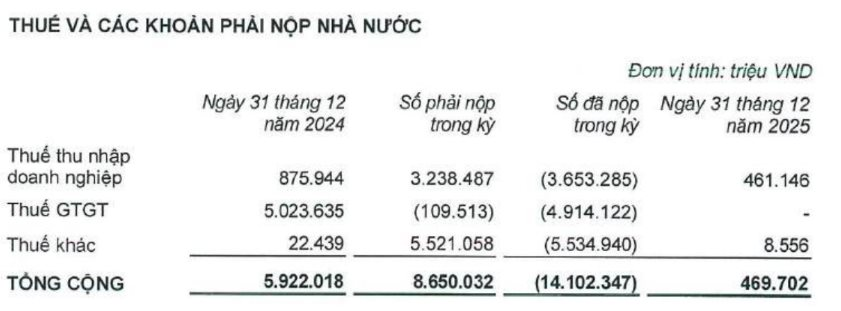Kỷ lục chưa từng có: Chỉ 2 công ty của tỷ phú Phạm Nhật Vượng đã nộp ngân sách 87.400 tỷ đồng, lớn hơn Viettel, Petrolimex và VCB cộng lại - Ảnh 2