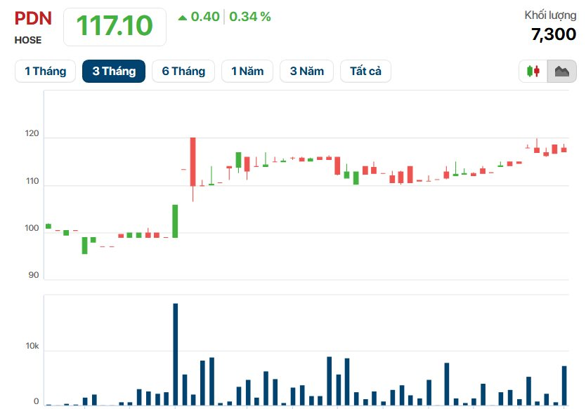 Nắm giữ gần 900 tỷ tiền mặt, một doanh nghiệp cảng biển 6.500 tỷ chốt ngày chi cổ tức tiền mặt 20% - Ảnh 3