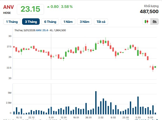 Con trai "vua cá rô phi" ra tay giải cứu cổ phiếu: Mua 1 triệu ANV khi giá rơi về mức thấp nhất 3 tháng - Ảnh 1