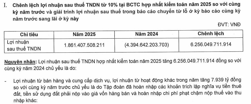 Novaland (NVL) báo lãi hơn 1.800 tỷ, vì sao kiểm toán vẫn lưu ý khả năng hoạt động liên tục? - Ảnh 1