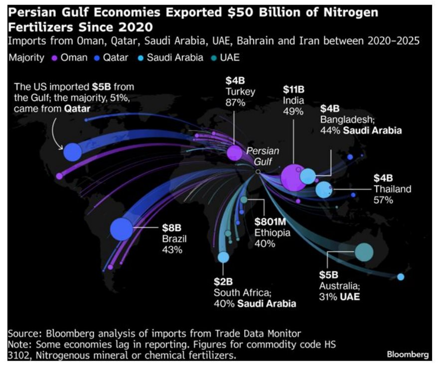 Hai 'ông lớn' Việt Nam đang nắm giữ át chủ bài giữa cảnh Hormuz gây đứt gãy chuỗi cung ứng phân bón toàn cầu - Ảnh 2