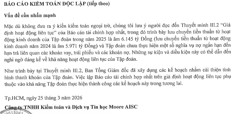 Novaland (NVL) báo lãi hơn 1.800 tỷ, vì sao kiểm toán vẫn lưu ý khả năng hoạt động liên tục? - Ảnh 2