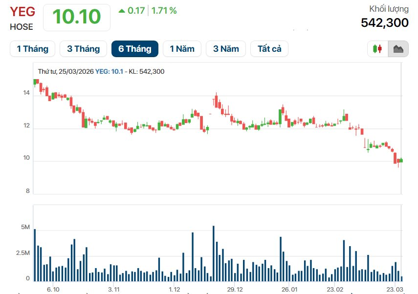 Kẹt gần nửa nghìn tỷ công nợ, vì sao YeaH1 (YEG) vẫn quyết đầu tư 430 tỷ cho đối tác ở Đà Nẵng? - Ảnh 3