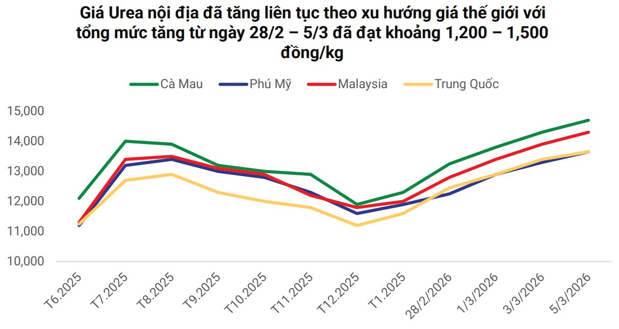 Hai 'ông lớn' Việt Nam đang nắm giữ át chủ bài giữa cảnh Hormuz gây đứt gãy chuỗi cung ứng phân bón toàn cầu - Ảnh 5