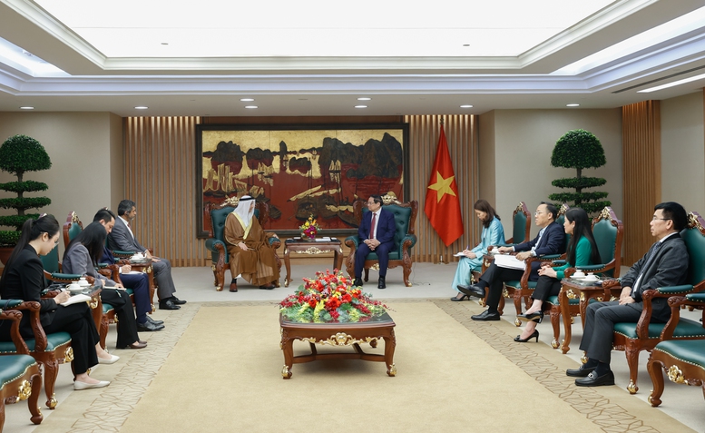 Thủ tướng thúc đẩy UAE cung cấp dầu khí cho Việt Nam theo nhu cầu, an toàn và đúng hạn - Ảnh 3