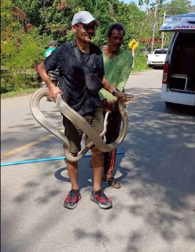 Nghe tiếng động lạ dưới gầm giường, chủ nhà "đứng tim" khi phát hiện 'vị khách không mời' khổng lồ - Ảnh 1