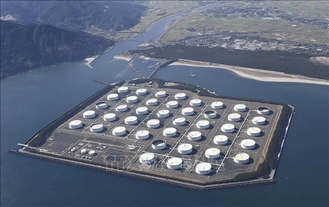 Gặp Đại sứ nước châu Á muốn xả 80 triệu thùng dầu, Thủ tướng đề nghị cho Việt Nam tiếp cận nguồn xuất kho - Ảnh 2