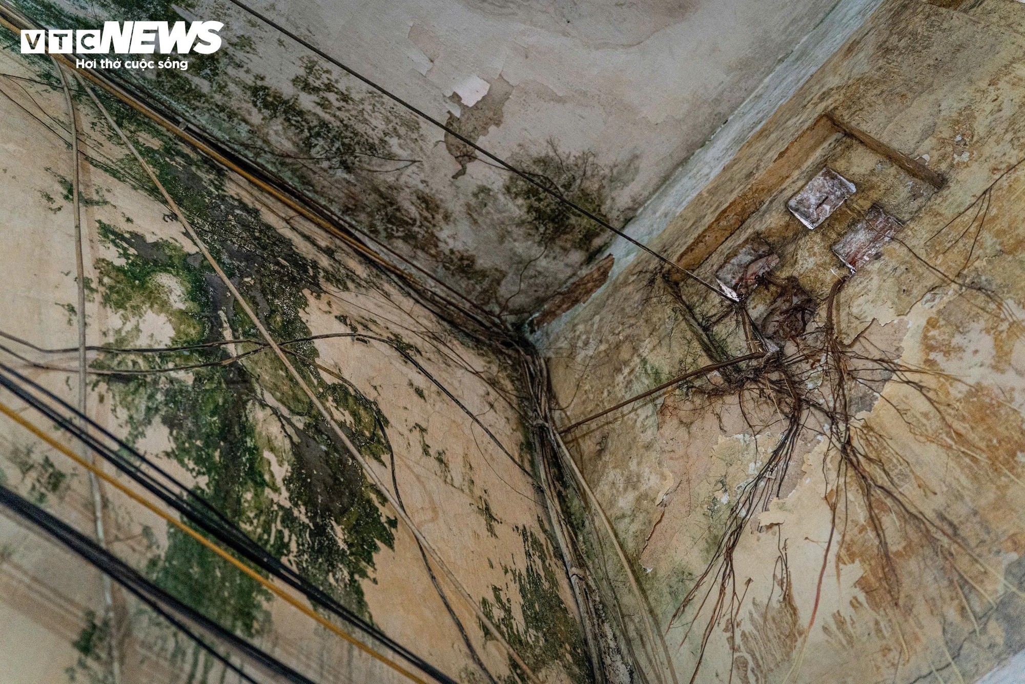 Bên trong những khu tập thể xuống cấp trên ‘đất vàng’ Hà Nội - Ảnh 4