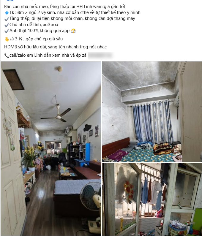 Rao bán căn hộ 58m² giá 3 tỷ nhưng tường ẩm thấp, mốc meo ở HH Linh Đàm: Cận cảnh bên trong khiến nhiều người choáng váng - Ảnh 1