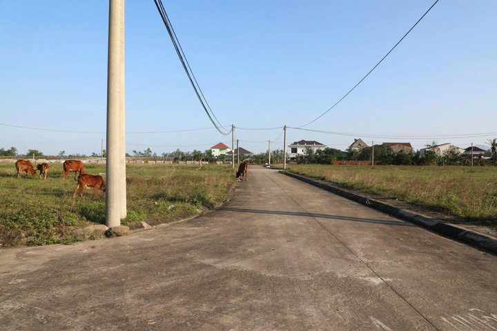 Nhà cửa chực chờ đổ sập, dân 'dài cổ' chờ tái định cư - Ảnh 3