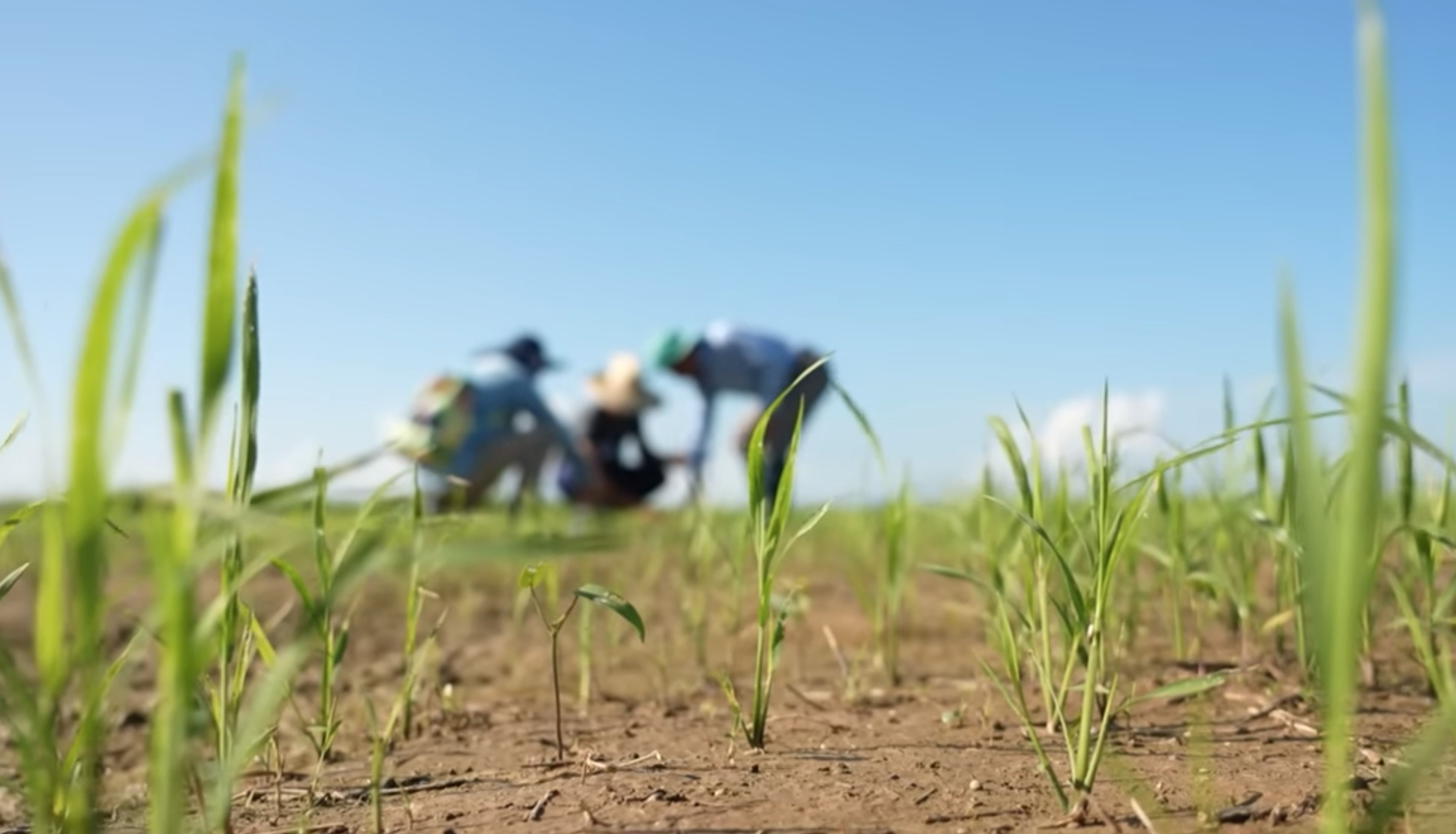 "Món quà vượt đại dương" cùng Tổng Bí thư Tô Lâm và niềm hạnh phúc vỡ òa ở Cuba - Ảnh 1