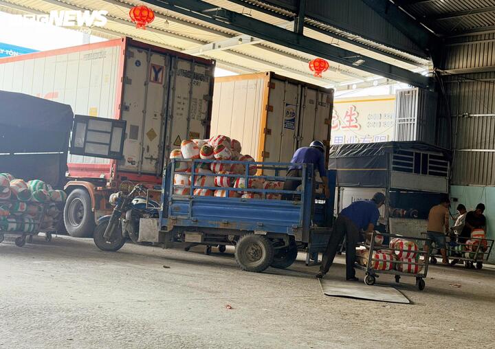 Mít không xuất khẩu được quay đầu bán lẻ, giá rẻ chưa từng có - Ảnh 1