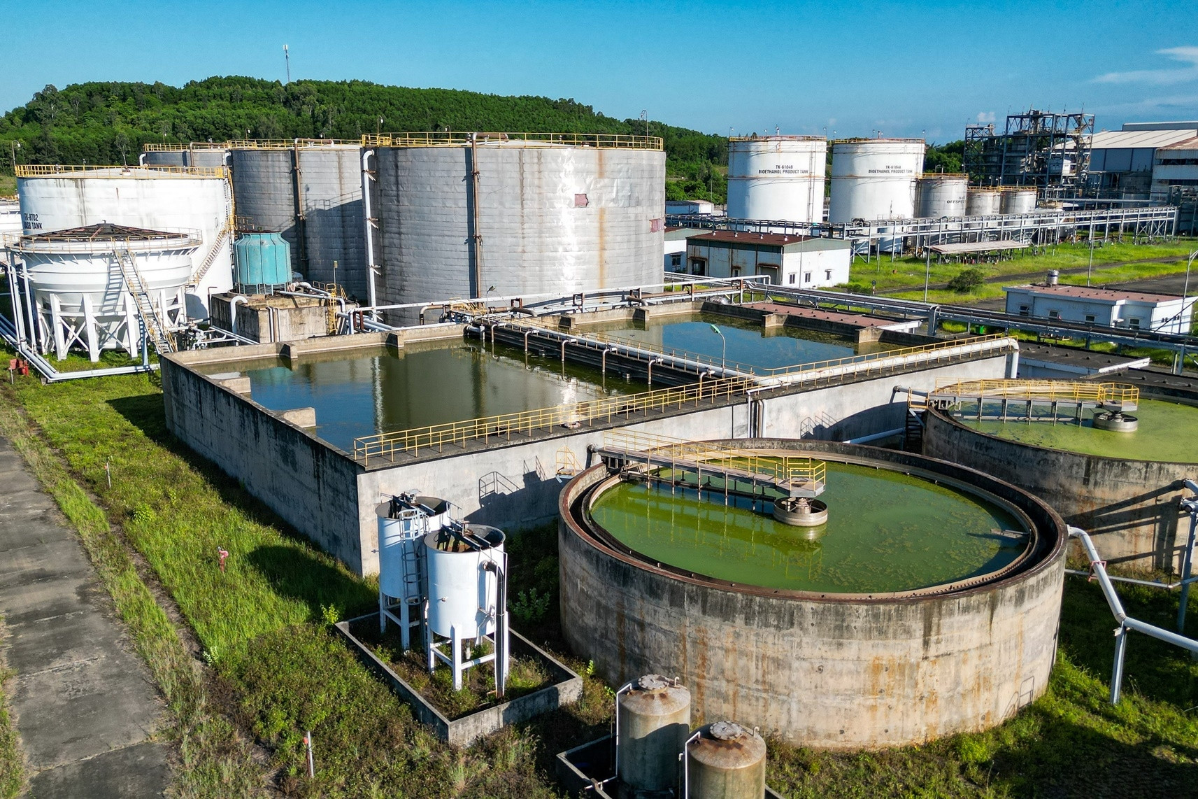 Khai mở "mỏ vàng trắng" ngay dưới chân người nông dân Việt: Cơ hội lớn chưa từng có từ tháng 4/2026 - Ảnh 2