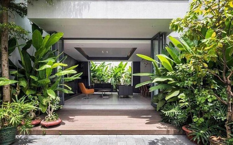 3 loại cây đừng trồng trước hiên nhà: Dễ mang vận xui và hao tài - Ảnh 1