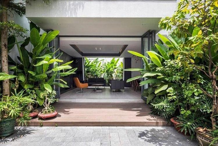 3 loại cây đừng trồng trước hiên nhà: Dễ mang vận xui và hao tài - Ảnh 2