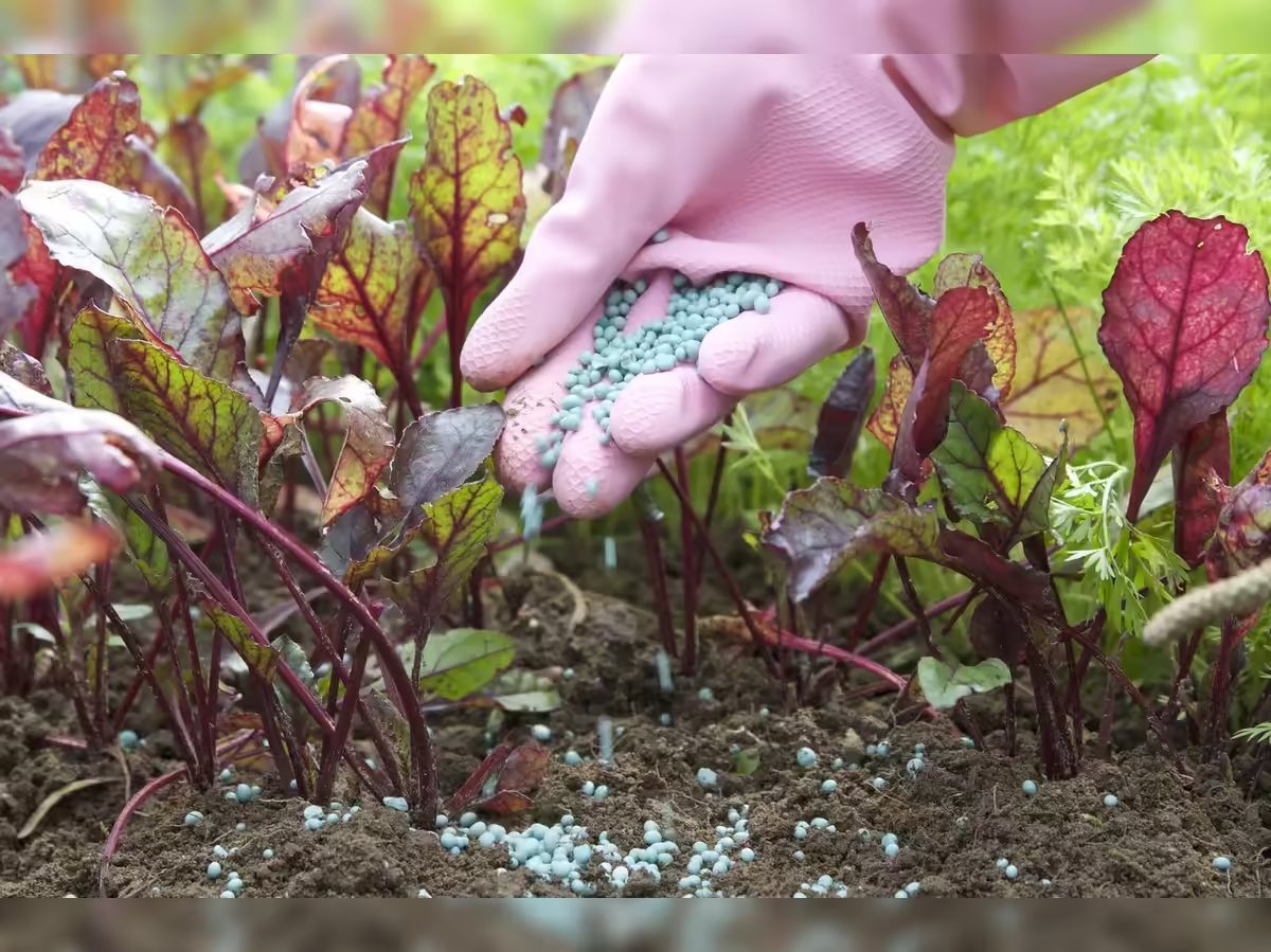 Một mặt hàng đối mặt với khủng hoảng toàn cầu: Qatar, Saudi Arabia và Iran hiện bị "mắc kẹt" - Ảnh 2