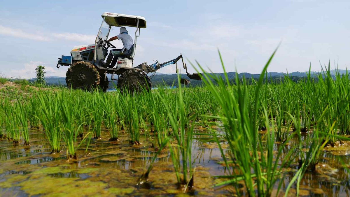 Một mặt hàng đối mặt với khủng hoảng toàn cầu: Qatar, Saudi Arabia và Iran hiện bị "mắc kẹt" - Ảnh 3