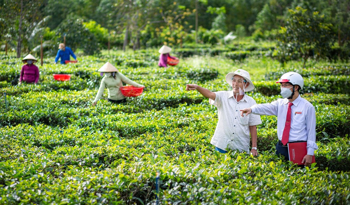 Agribank điều hành tín dụng kiên định vì mục tiêu phát triển bền vững - Ảnh 1