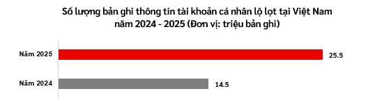 Toàn cảnh an ninh mạng Việt Nam 2025: Mạnh mẽ và tinh vi - Ảnh 1