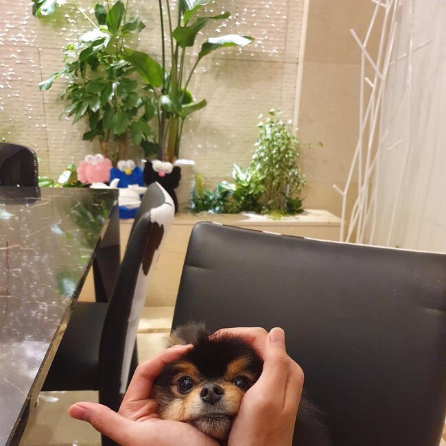 BĐS của 7 “đấng” BTS: Từ Seoul vươn dài đến Mỹ, mỗi cơ ngơi đều là 1 tuyên ngôn đẳng cấp toàn cầu - Ảnh 9