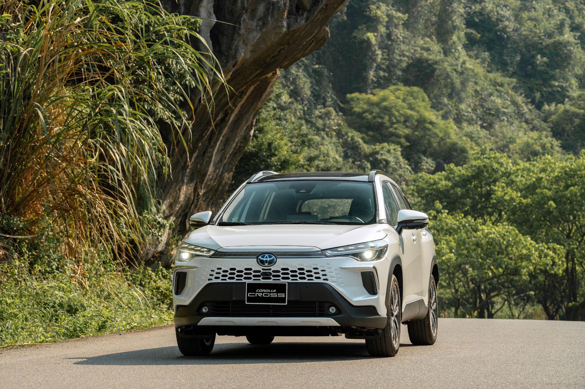 Bài toán kinh tế có lợi cho khách hàng mua xe Toyota trong tháng 3, tiết kiệm gần 70 triệu đồng - Ảnh 3