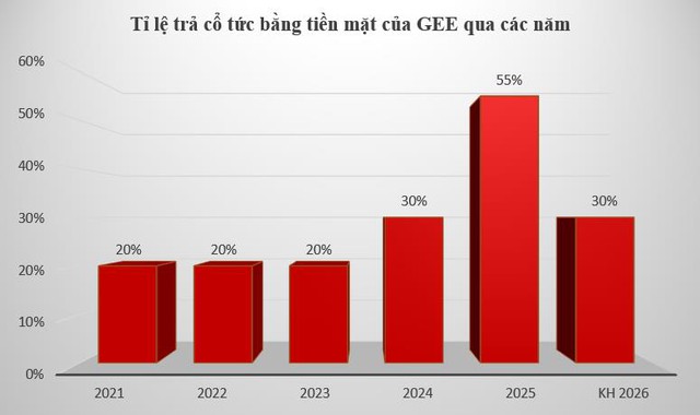 GELEX Electric đặt mục tiêu doanh thu hơn 27.200 tỷ đồng, tiếp tục duy trì cổ tức cao - Ảnh 2