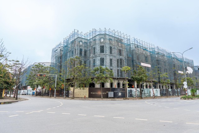 BĐS giá trị thực lên ngôi, dinh thự đa công năng hút mạnh dòng tiền - Ảnh 3