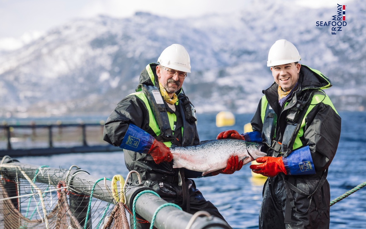 Bí quyết đứng sau vị thế hàng đầu của ngành cá hồi Na Uy
