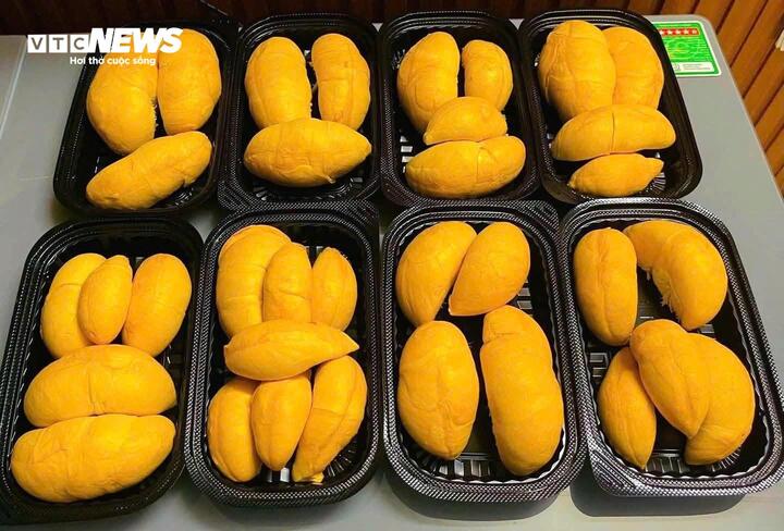 Sầu riêng gai đen tiền triệu mỗi trái vẫn ‘cháy hàng’ - Ảnh 3