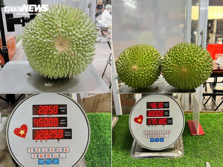 Sầu riêng gai đen tiền triệu mỗi trái vẫn ‘cháy hàng’ - Ảnh 2
