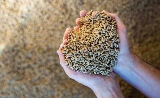 Căng thẳng Trung Đông: Trung Quốc gặp khó với một ngành công nghiệp đang dẫn đầu thế giới - Ảnh 1