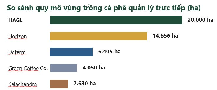 Bầu Đức tuyên bố xây vùng cà phê 20.000 ha lớn nhất thế giới: Đem về gần 19.000 tỷ/năm, cam kết nợ vay dưới 50% - Ảnh 2