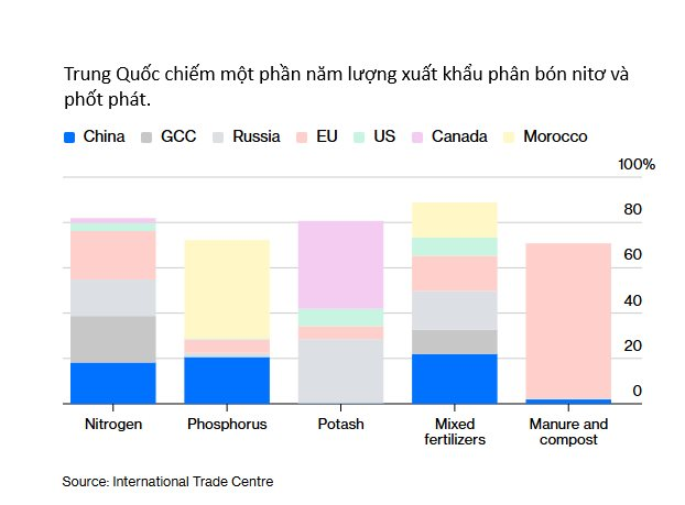 Không phải dầu mỏ, một mặt hàng khác đang thiếu hụt có nguy cơ làm rung chuyển ngành thực phẩm toàn cầu, Trung Quốc 'ngư ông đắc lợi' - Ảnh 2