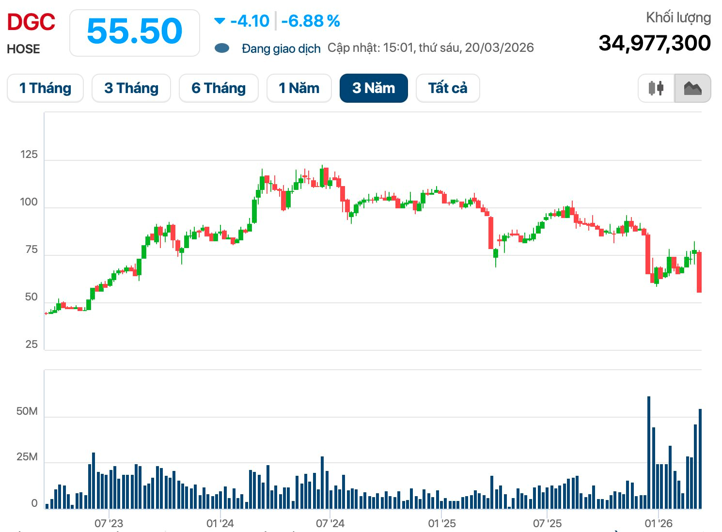“Giải cứu” bất thành Hóa chất Đức Giang - Ảnh 1