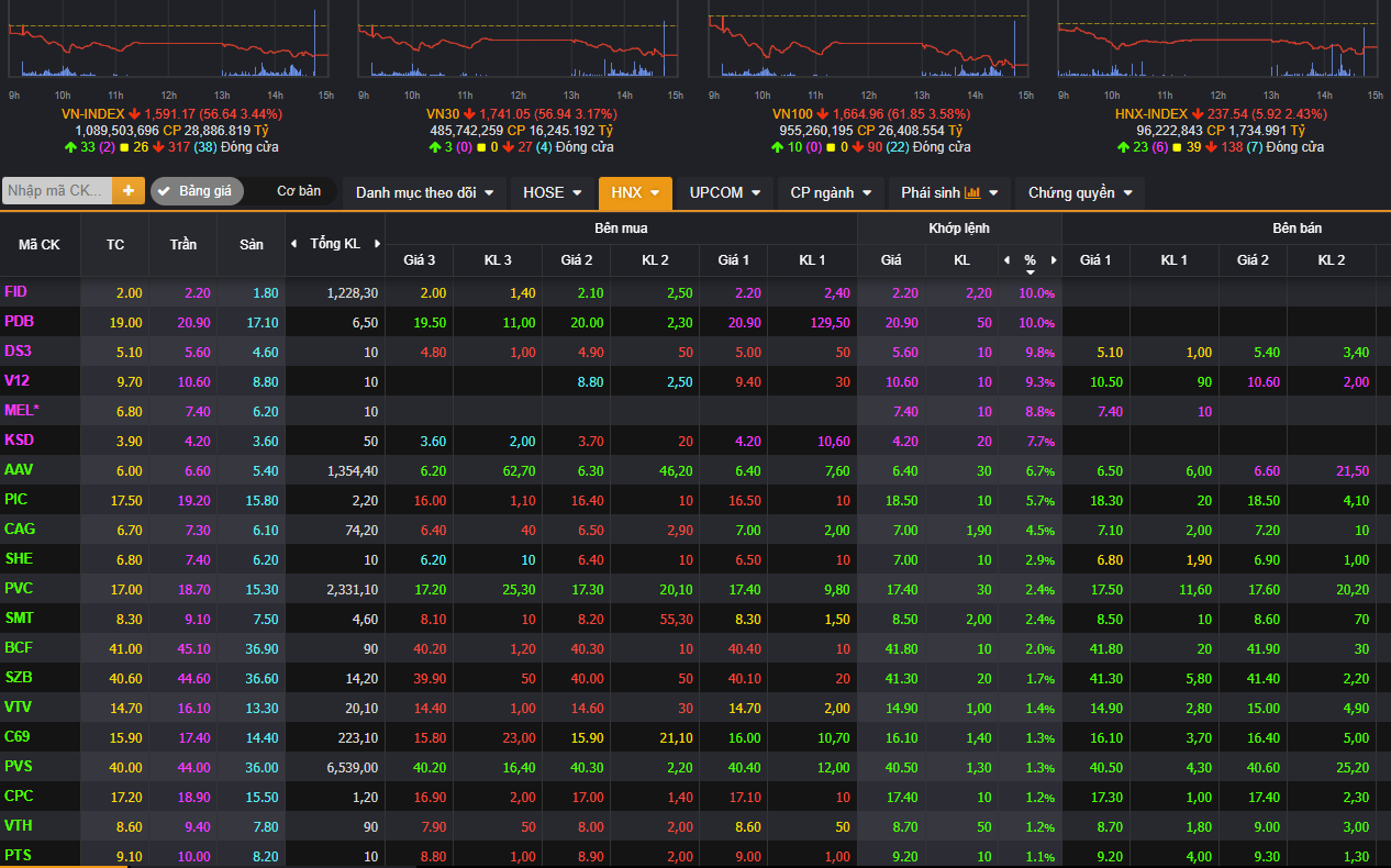 Chuyên gia nêu lý do chứng khoán thủng 1.600 điểm nhưng nhiều cổ phiếu vẫn tăng trần? - Ảnh 2