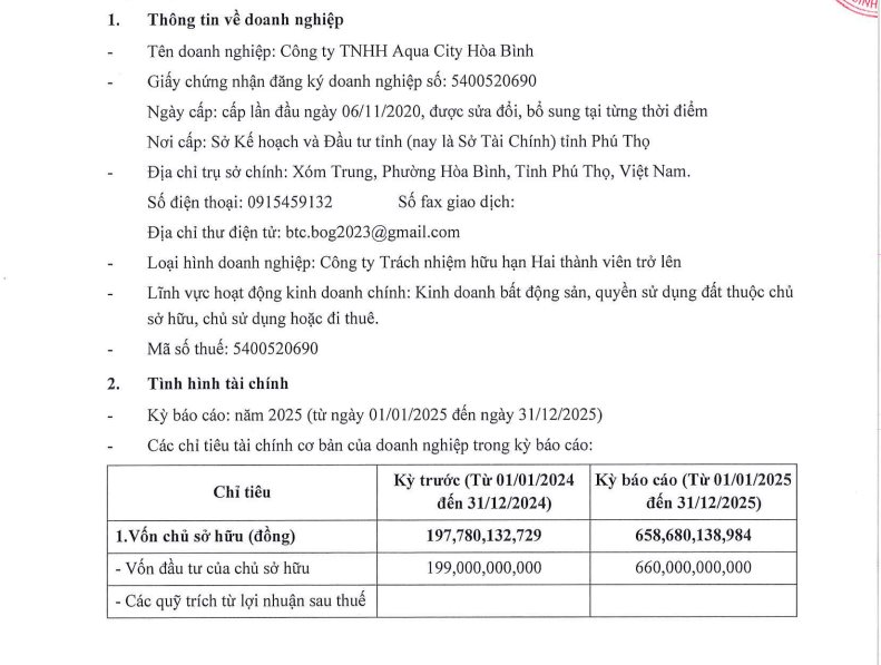 Doanh nghiệp địa ốc trong hệ sinh thái Lã Vọng Group tiếp tục báo lỗ, tài chính tiềm ẩn nhiều rủi ro - Ảnh 1