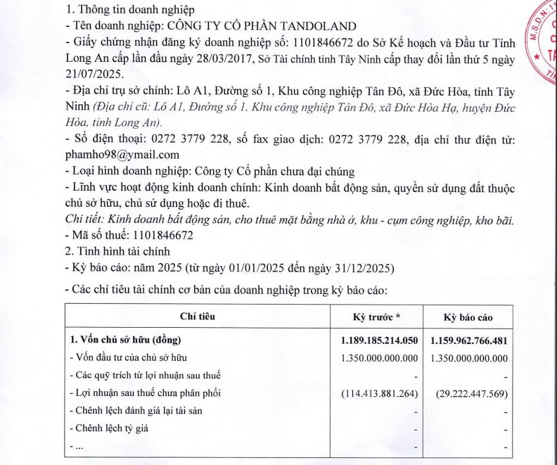 Doanh nghiệp địa ốc của CEO Nguyễn Thái Bình lỗ 5 năm liên tiếp, nợ phải trả vượt 6.100 tỷ đồng - Ảnh 2