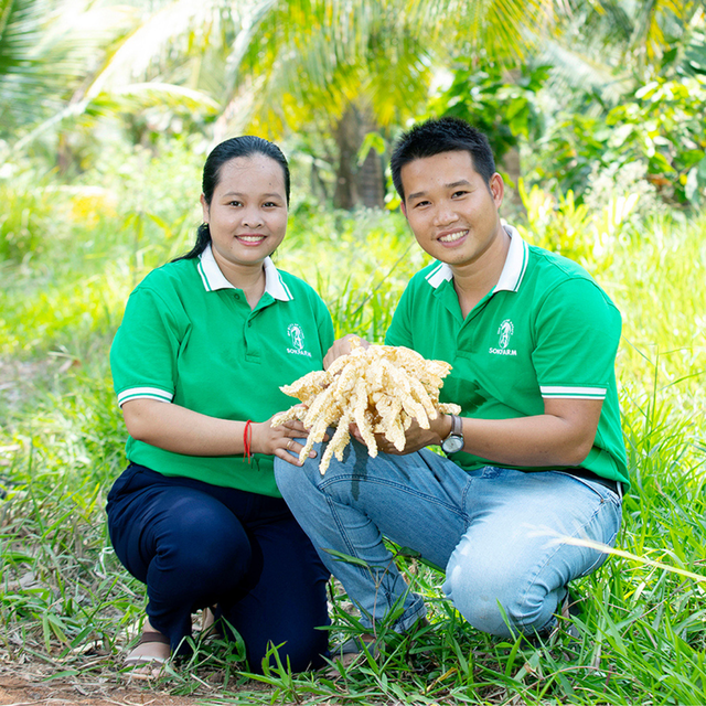Vợ chồng Thạc sĩ bỏ phố về quê lập nghiệp "mát-xa hoa dừa": Thu 30 tỷ/năm, xuất khẩu loạt nước lớn - Ảnh 1