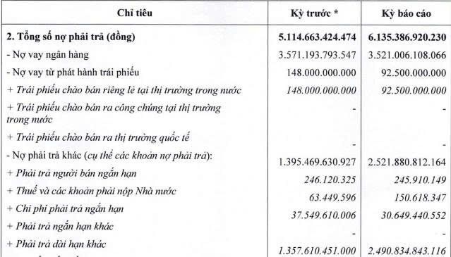 Tandoland lỗ ròng hơn 29 tỷ đồng trong năm 2025, nợ phải trả vượt 6.100 tỷ đồng - Ảnh 1