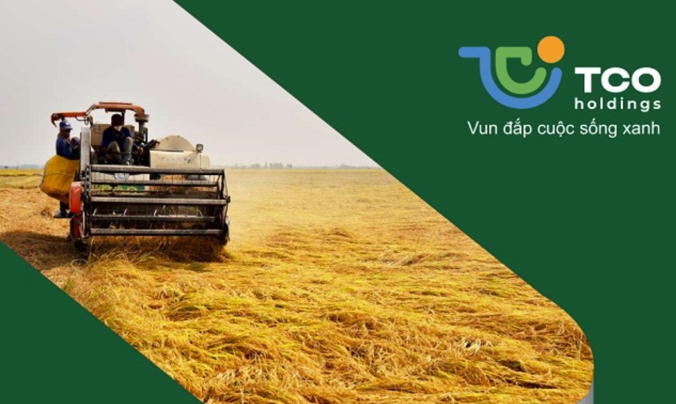 TCO Holdings muốn đầu tư vào Pacific Lines - Ảnh 1